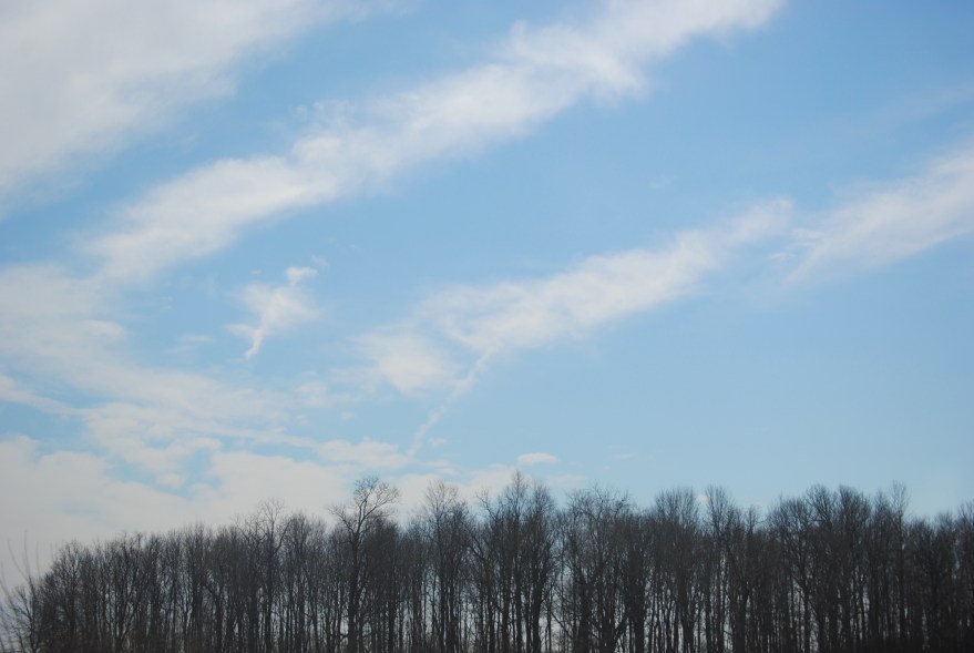 country + city | Lynnette Therese