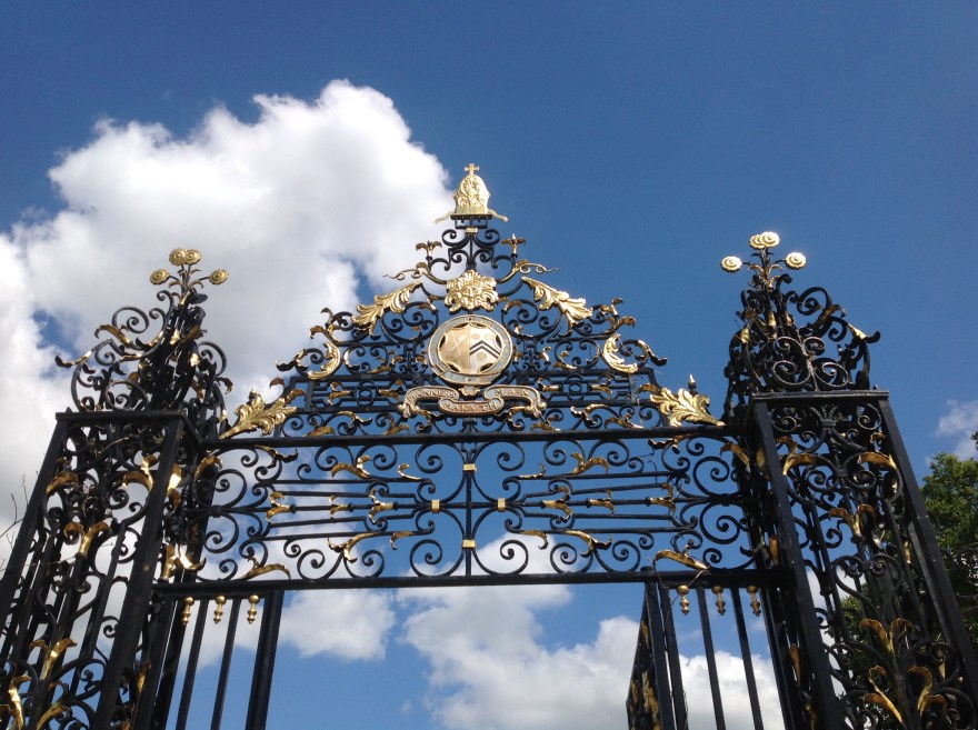 Blue Skies in England | Lynnette Therese