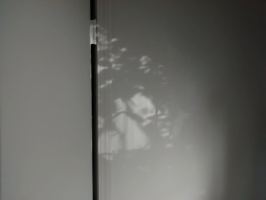 a prayer for middle places