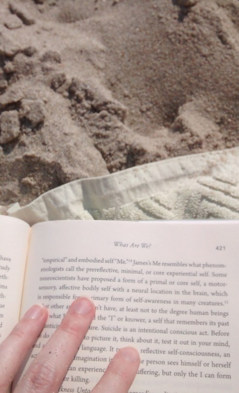 books (2018) | Lynnette Therese Sauer