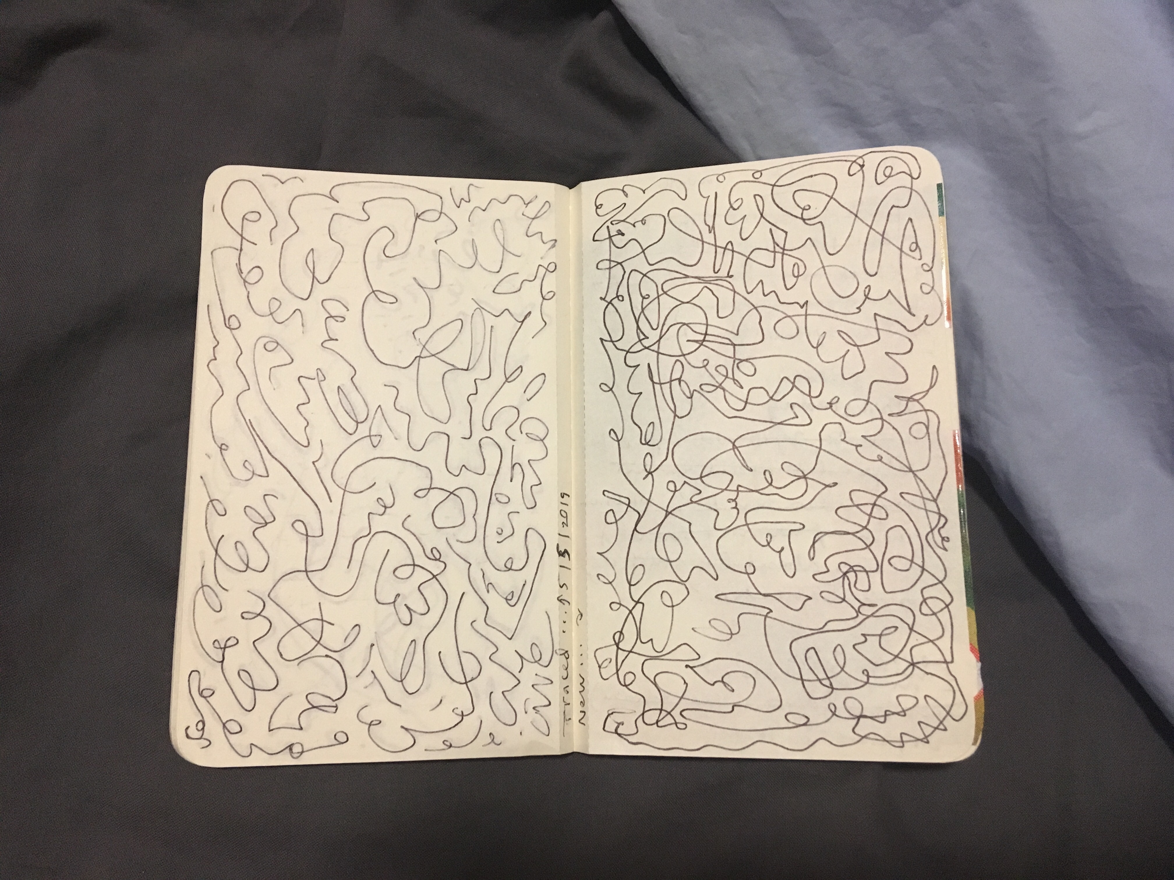 spring 2019 | Lynnette Therese Sauer