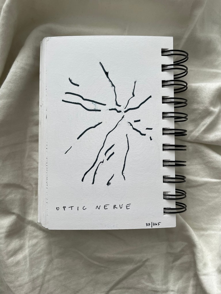 Wire bound sketchbook with line drawing on the open page, laying on top of white fabric